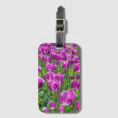 Lila Tulips Gepäckanhänger (Vorderseite Vertikal)