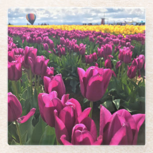 Lila Tulips in einem Feld mit Heißluftballon Glasuntersetzer