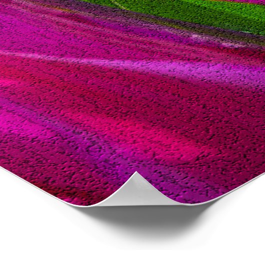 Lila Tulips in Keukenhof, Holland Print Poster (Ecke)