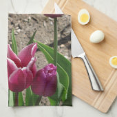 Lila Tulips Küchentücher (Viertel Falte)