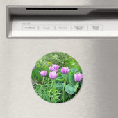 Lila Tulips Magnet (In Situ (Geschirrspüler))
