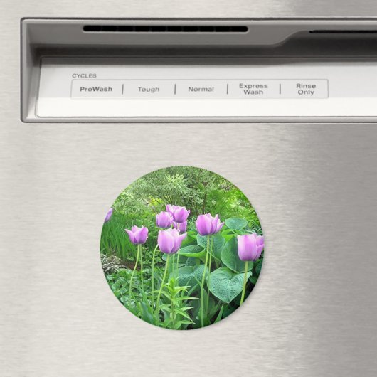 Lila Tulips Magnet (In Situ (Geschirrspüler))