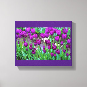 Lila Tulips, Oregon Leinwanddruck