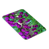 Lila Tulips, Oregon Magnet (Rechte Seite)