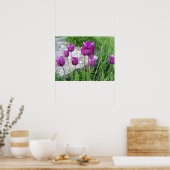 Lila Tulips Poster (Küche)
