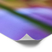 Lila Tulips Poster (Ecke)