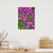 Lila Tulips Poster (Küche)