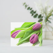 Lila Tulips Postkarte (Stehend Vorderseite)