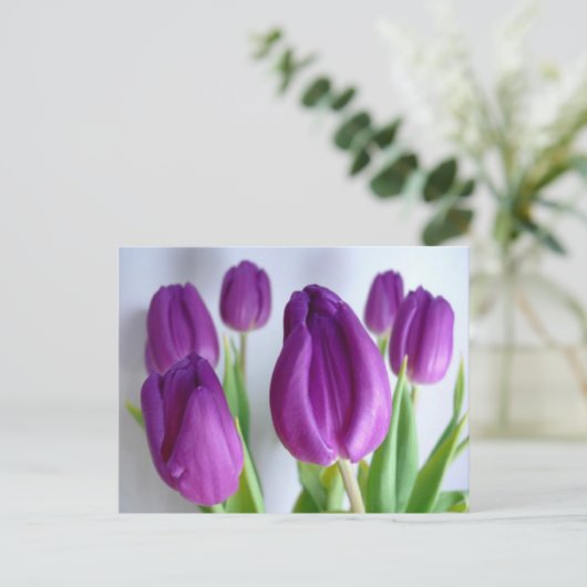 Lila Tulips Postkarte (Stehend Vorderseite)