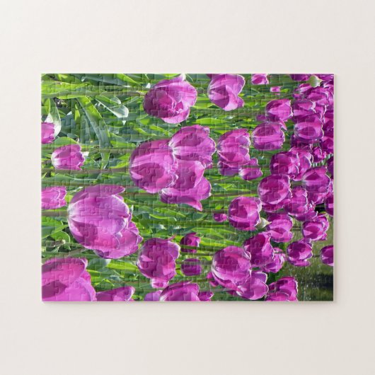 Lila Tulips Puzzle (Horizontal)