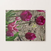 Lila Tulips Puzzle (Horizontal)