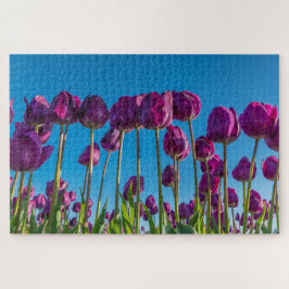Lila Tulips Puzzle