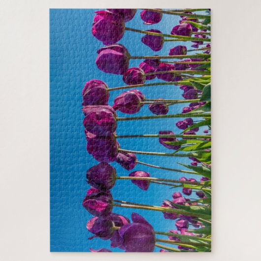 Lila Tulips Puzzle (Vertikal)