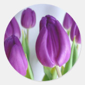 Lila Tulips Runder Aufkleber (Vorderseite)
