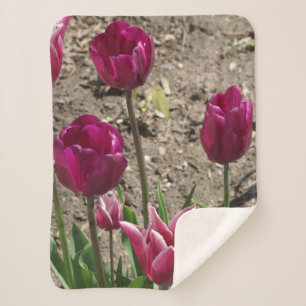 Lila Tulips-Sherpa-Decke Sherpadecke