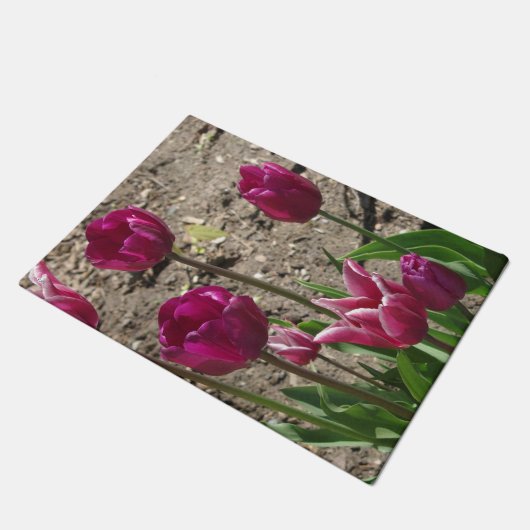 Lila Tulips Türmatte (Schrägansicht)