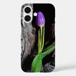 lila Tulpe aus Treibholz iPhone 16 Hülle