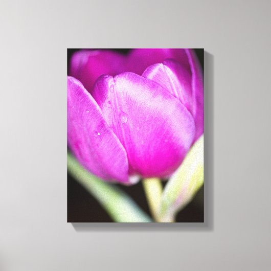 Lila Tulpe Blume Canvas drucken Leinwanddruck (Vorderseite)