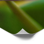 Lila Tulpe-Blume-Poster Poster (Ecke)