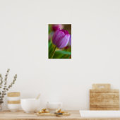 Lila Tulpe-Blume-Poster Poster (Küche)