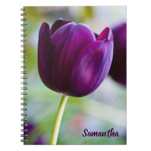Lila Tulpe Blume Spiralheft Notizblock