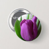 Lila Tulpe Button (Vorne & Hinten)