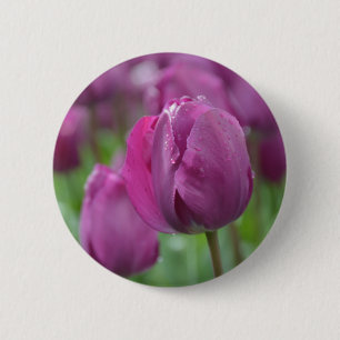 Lila Tulpe mit Wassertropfen Button
