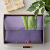 Lila Tulpe Seidenpapier (Geschenk)