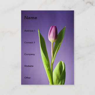 Lila Tulpe Visitenkarte