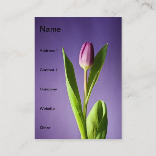 Lila Tulpe Visitenkarte (Vorderseite)