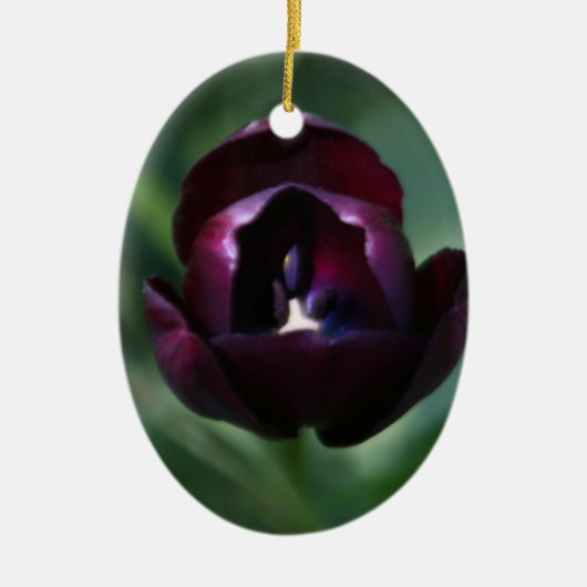Lila Tulpe-Weihnachtsfeiertags-Verzierung Keramikornament (Vorne)