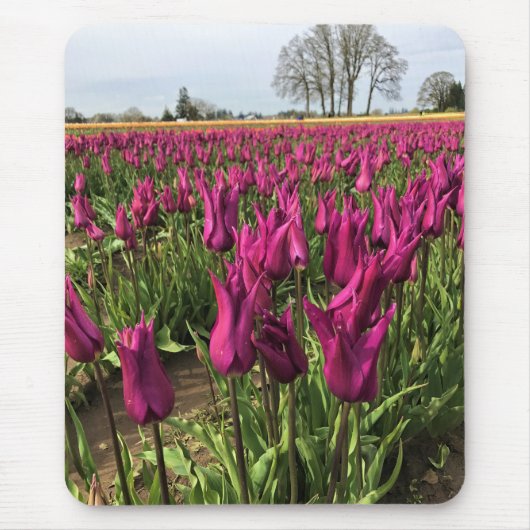 Lila Tulpen Mousepad (Vorne)
