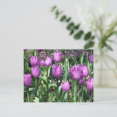 lila Tulpen Postkarte (Stehend Vorderseite)