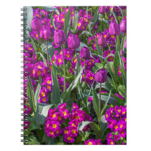 Lila Tulpen und Primelnotizbuch Notizblock