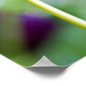 Lila Tulpenblumen Poster (Ecke)