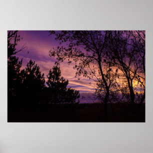 Lila Twilight-Himmel-Baumsilhouette Poster