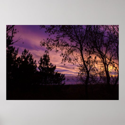 Lila Twilight Sky Tree Silhouette Poster (Vorne)
