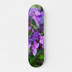 Lila Twist und Shout Hortensienblüte Skateboard