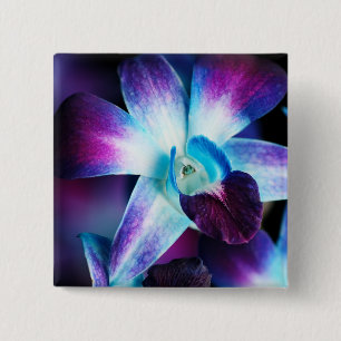 Lila u. blaue Dendrobium-Orchidee kundengebundene Button