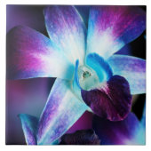 Lila u. blaue Dendrobium-Orchidee kundengebundene Fliese (Vorderseite)