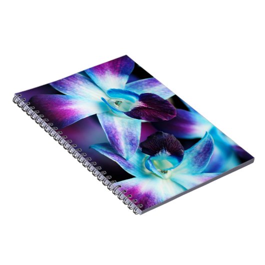 Lila u. blaue Dendrobium-Orchidee kundengebundene Notizblock (Rechte Seite)