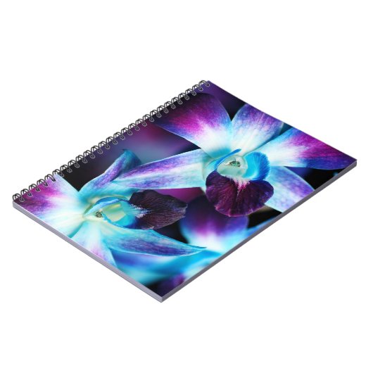 Lila u. blaue Dendrobium-Orchidee kundengebundene Notizblock (Linke Seite)