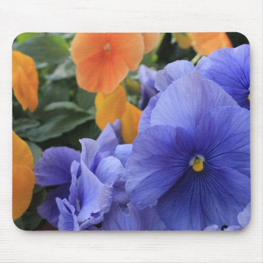 Lila u. orange Stiefmütterchen mit grünem Mousepad (Vorne)