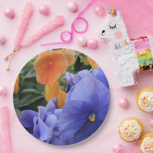 Lila u. orange Stiefmütterchen mit grünem Pappteller (Party)