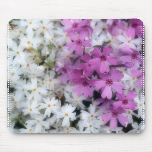 Lila u. weiße Blumen Mousepad (Vorne)