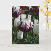 Lila u. weiße Tulpe-Gruß-Karte Karte (Gelbe Blume)