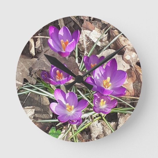 Lila Uhr (Vorderseite)
