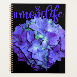 Lila und aquamarine Hydrangea, lila blühende Mama Planer