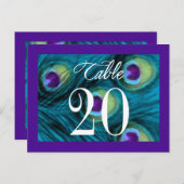 Lila und Aquamarine Pfauenfantasie Postkarte (Vorne/Hinten)