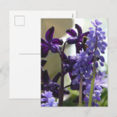 Lila und blaue Frühlingsblumen DIY Postkarte (Vorne/Hinten)